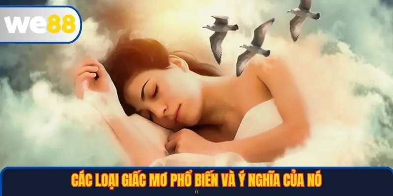 Các loại giấc mơ phổ biến và ý nghĩa của nó