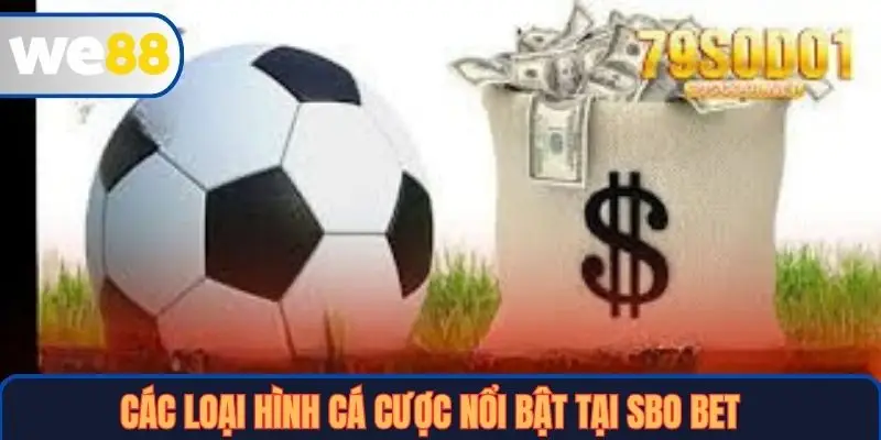 Các loại hình cá cược nổi bật tại SBO Bet