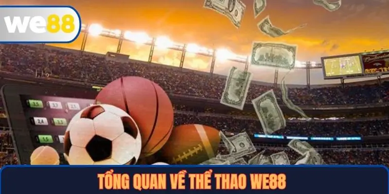 Tổng quan về Thể thao WE88